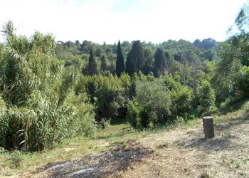 Foto - Rustico Livorno - foto 11