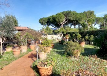 giardino - Villa Livorno - photo 2