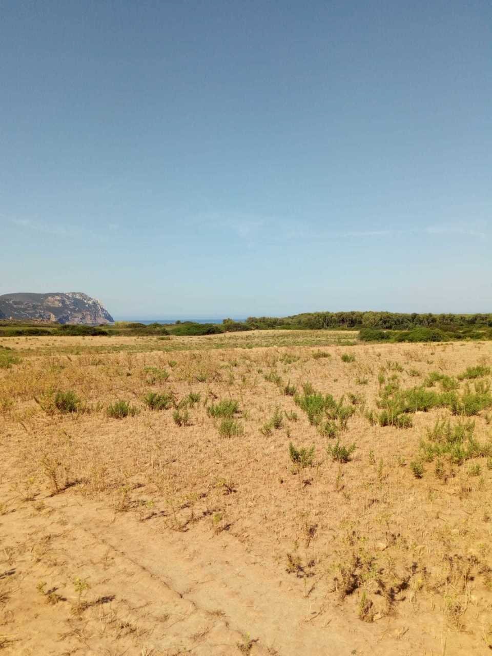 31f5ccac-42f5-468d-bb1e-ff66f9bd05ca.jpg - Terreno agricolo Strada Porto Ferro, Sassari - foto 2