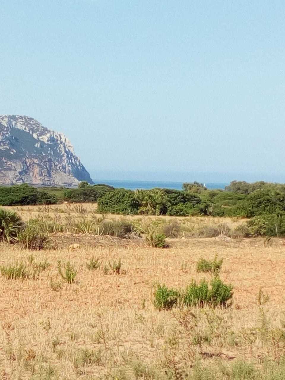 ab1162cd-f11f-4f05-8249-368f0b075790.jpg - Terreno agricolo Strada Porto Ferro, Sassari - foto 3