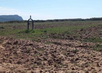 8bf11fb2-efd2-4d1e-97b6-a498075b13a4.jpg - Terreno agricolo Strada Porto Ferro, Sassari - foto 1