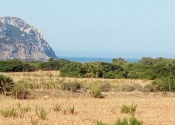 ab1162cd-f11f-4f05-8249-368f0b075790.jpg - Terreno agricolo Strada Porto Ferro, Sassari - foto 3