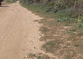 61d9f63f-567b-46d6-83d9-353ea226d6b2.jpg - Terreno agricolo Strada Porto Ferro, Sassari - foto 4