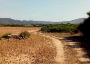 bc43ee51-3646-49f3-9545-3bda61b318bd.jpg - Terreno agricolo Strada Porto Ferro, Sassari - foto 7