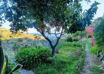 Villa Bordighera, IM, Bordighera - foto 13