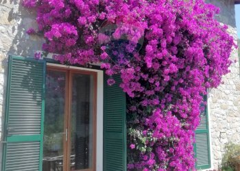 Villa Dolceacqua, IM, Dolceacqua - photo 4