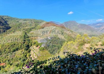 Villa Dolceacqua, IM, Dolceacqua - photo 16