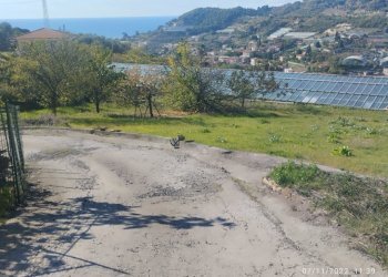 02b.jpg - Villa Via degli Inglesi 140, Bordighera - foto 13