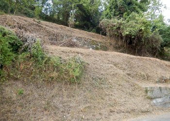 DSCN1725.JPG - Rustico Via alla Chiesa 96, Castiglione Chiavarese - foto 9