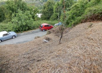 DSCN1729.JPG - Rustico Via alla Chiesa 96, Castiglione Chiavarese - foto 10
