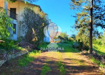 Villa Partinico - foto 4