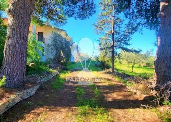 Villa Partinico - foto 16