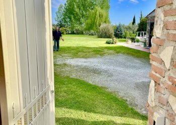 IMG_3438.jpg - Rustico Camaiore - foto 1