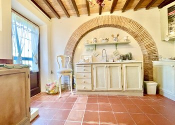 IMG_3445.jpg - Rustico Camaiore - foto 10