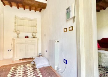 IMG_3449.jpg - Rustico Camaiore - foto 15