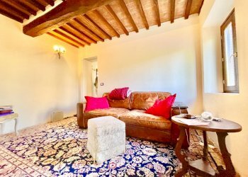 IMG_3450.jpg - Rustico Camaiore - foto 16