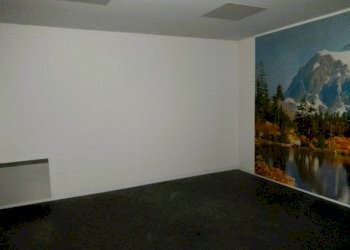 Negozio via Giuseppe Piazzi, 38, Sondrio - foto 7