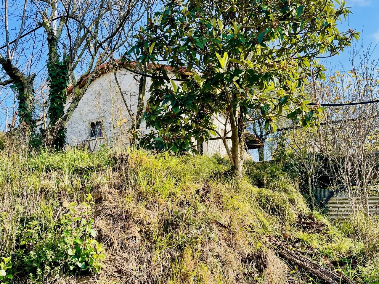 IMG_8360.jpg - Terreno agricolo Arcola - foto 1