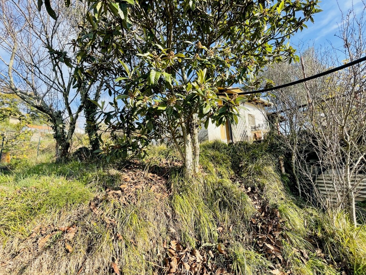 IMG_8361.jpg - Terreno agricolo Arcola - foto 3