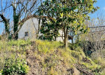 IMG_8360.jpg - Terreno agricolo Arcola - foto 1