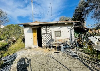 IMG_8365.jpg - Terreno agricolo Arcola - foto 6