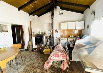 IMG_8368.jpg - Terreno agricolo Arcola - foto 8