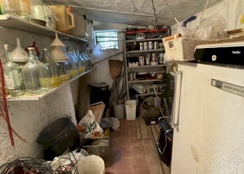 IMG_8371.jpg - Terreno agricolo Arcola - foto 9