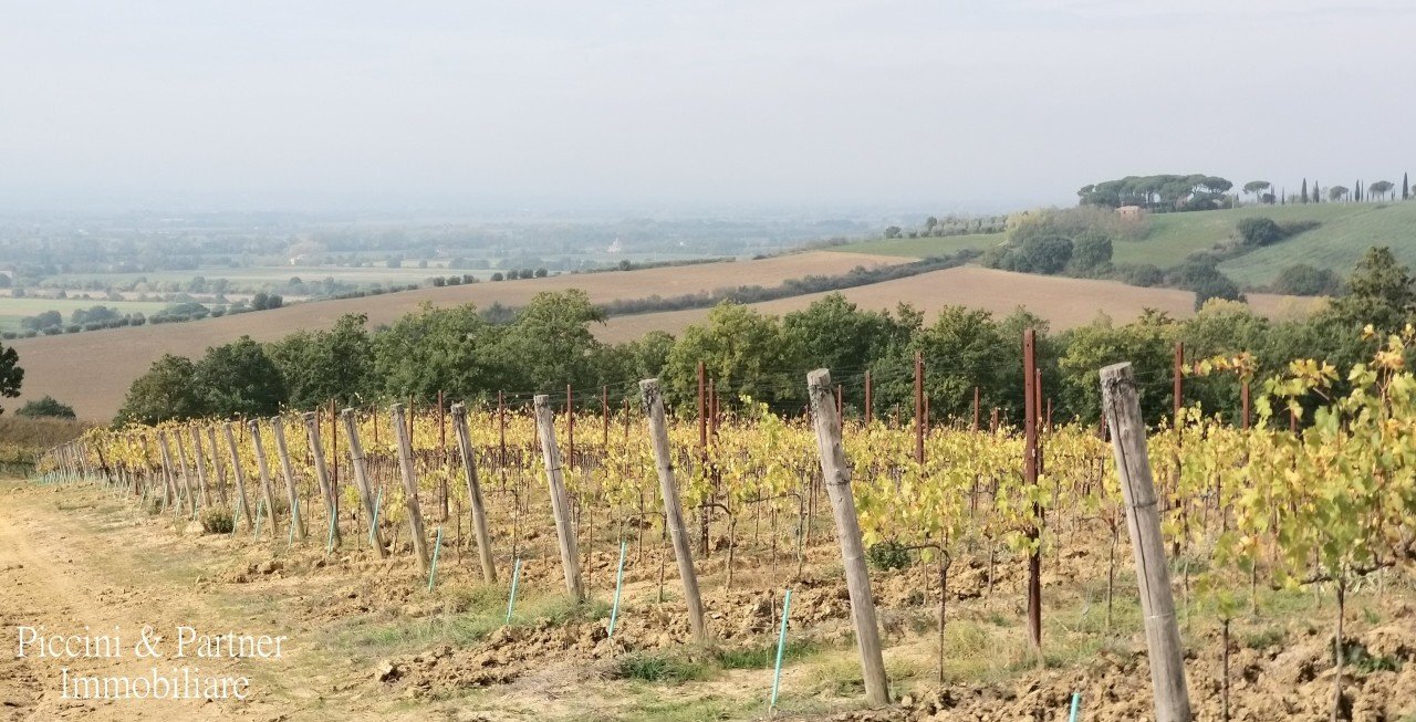 2.jpg - Terreno agricolo Via Soccorso 63, Cortona - foto 2