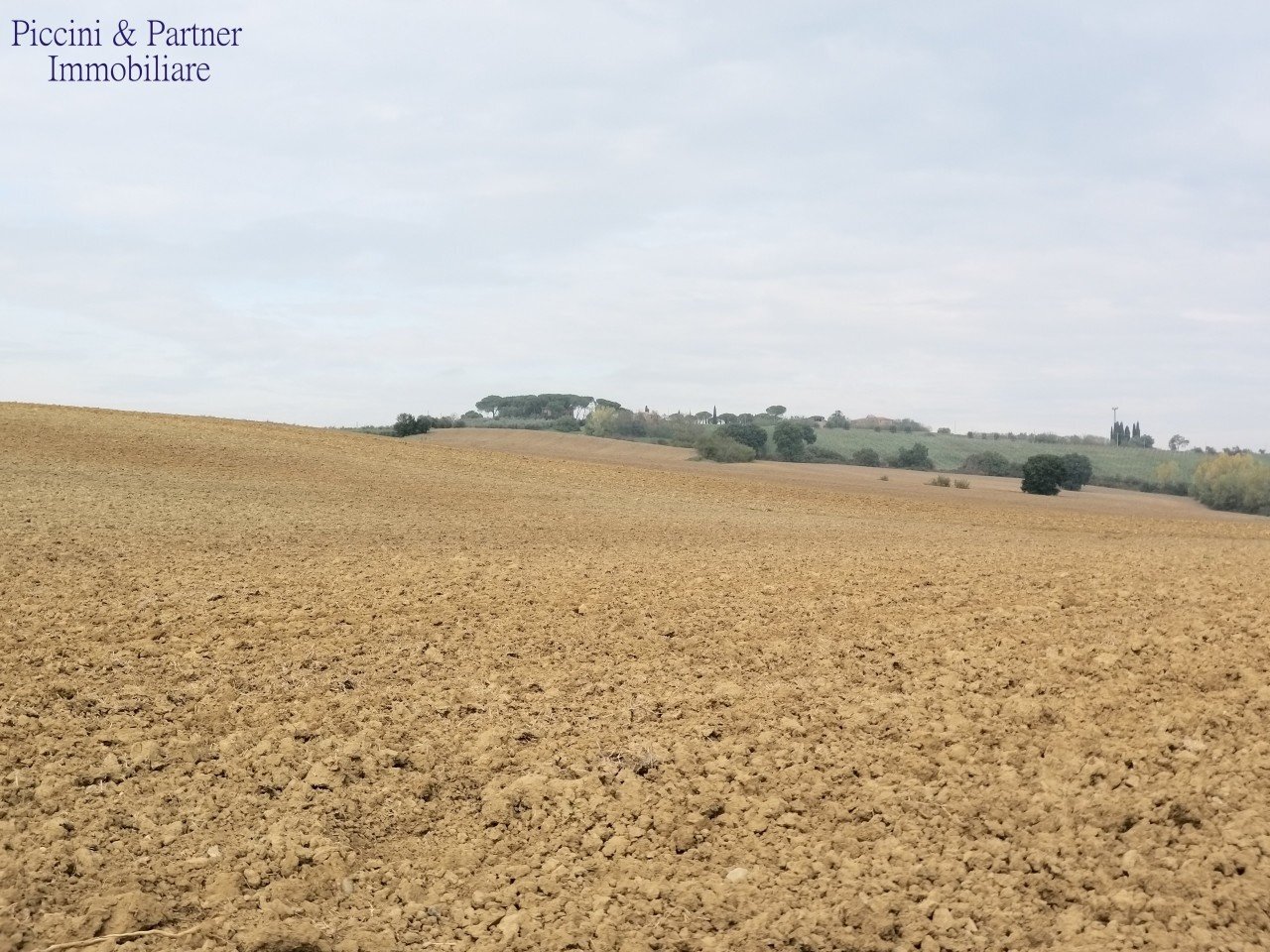 3.jpg - Terreno agricolo Via Soccorso 63, Cortona - foto 3