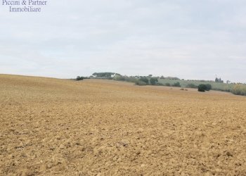3.jpg - Terreno agricolo Via Soccorso 63, Cortona - foto 3