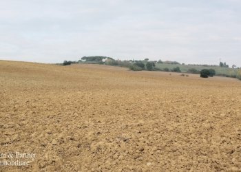 5.jpg - Terreno agricolo Via Soccorso 63, Cortona - foto 5
