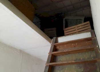 IMG-20250505-WA0027.jpg - Rustic VILLO' VIA ALBAROLA 68, Vigolzone - photo 6