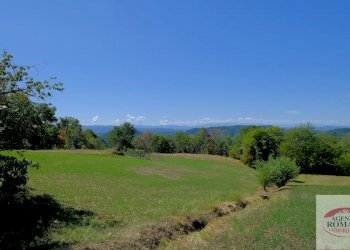 Rif 1183(Copy53).jpg - Rustico regione Pianlago 110, Ponzone - foto 9