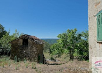 Rif 1183(Copy5).jpg - Rustico regione Pianlago 110, Ponzone - foto 10