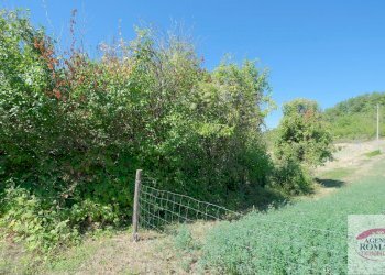 Rif 1183(Copy33).jpg - Rustico regione Pianlago 110, Ponzone - foto 11