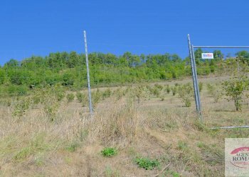 Rif 1183(Copy55).jpg - Rustico regione Pianlago 110, Ponzone - foto 19