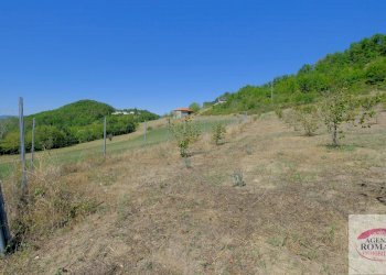 Rif 1183(Copy60).jpg - Rustico regione Pianlago 110, Ponzone - foto 20