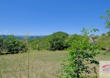 Rif 1183(Copy70).jpg - Rustico regione Pianlago 110, Ponzone - foto 21