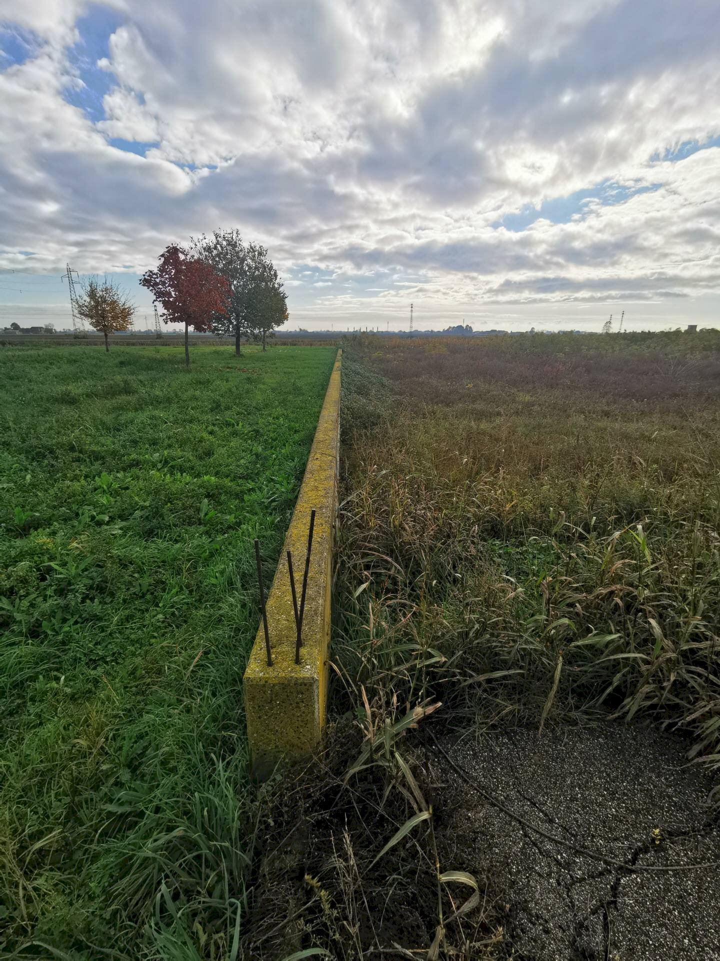 Building land Musile di Piave - photo 2