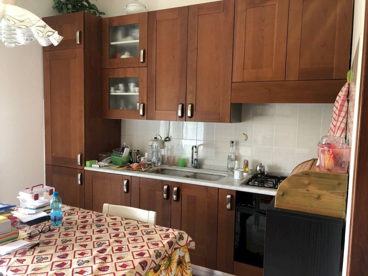 IMG_5366.jpg - Appartamento Ameglia - foto 3