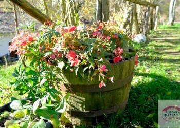 Rif 1236(Copy45).jpg - Rustico Urbe - foto 14