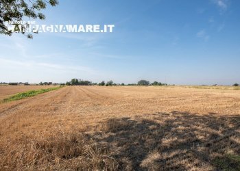 Casa indipendente via Zappaterra, Copparo - foto 13