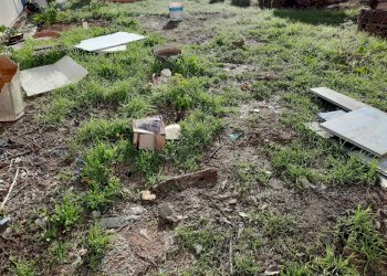 20221105_091848.jpg - Terratetto - Terracielo Via di Mezzo II, Lucca - foto 23