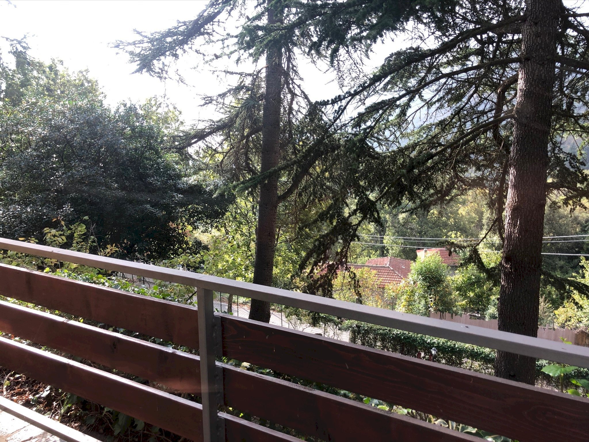 Villa Sanremo - photo 3