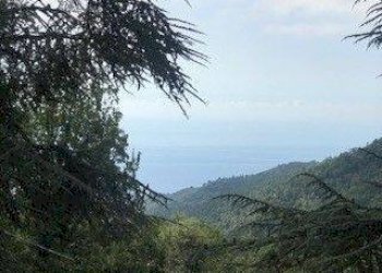 Villa Sanremo - photo 8