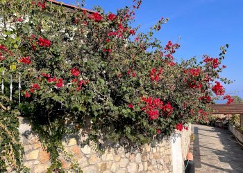 Independent house Ventimiglia - photo 3