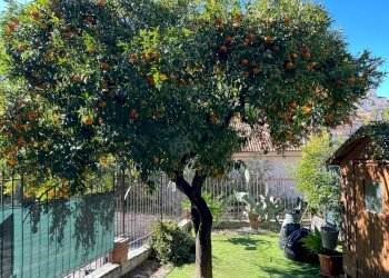 Bilocale Sanremo - foto 8