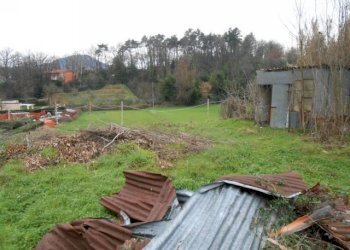 DSCN8642.JPG - Rustico Via delle Piagge 2368, Lucca - foto 2