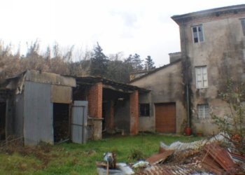 DSCN8645.JPG - Rustico Via delle Piagge 2368, Lucca - foto 3