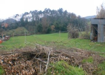 DSCN8646.JPG - Rustico Via delle Piagge 2368, Lucca - foto 4